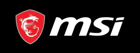 MSI